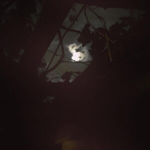 Álvaro Escobar Instagram - 