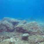 Álvaro Rico Instagram - Cuando no se rueda me llevo a estos dos fieras de buceo. Estas son sus caras después de su primera inmersión! Gracias por tratarnos tan bien @alisubbuceo 🤟🏻🐠
