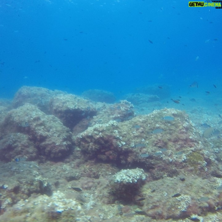 Álvaro Rico Instagram - Cuando no se rueda me llevo a estos dos fieras de buceo. Estas son sus caras después de su primera inmersión! Gracias por tratarnos tan bien @alisubbuceo 🤟🏻🐠