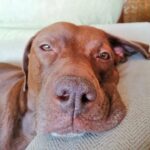 Álvaro Rico Instagram – La siesta