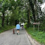 Álvaro Rico Instagram - Asturias