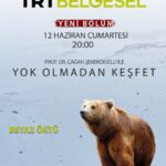 Çağan Şekercioğlu Instagram - The new episode of our Turkey wildlife documentary, filmed in the brutal February of Kars, the Siberia of Turkey, is on TRT Belgesel tonight at 8PM İstanbul time at the link below. https://www.trtbelgesel.com.tr/canlı-yayın Kars'ın zorlu Şubat ayında çektiğimiz yeni bölümümüz, bu gece 20:00'de TRT Belgesel'de. Sarıkamış, Kars