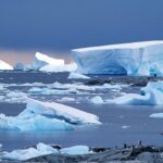 Çağan Şekercioğlu Instagram - Happy Earth Day! On our amazing planet, this is the one spot in #Antarctica that made me feel like I was on another planet, with no sign of humanity. Sadly, even this spot and all others on our planet are now affected by #climatechange, #plastics and other global human impacts.  Dünya Günü’nuz kutlu olsun! Muhtesem dunyamizda, bana baska bir dünyada oldugumu hissettiren en nefes kesici yer Antarktika'da #İşteBurası  @natgeotvturkiye ile Dünya Günü kutlamalarına #İşteBurası ve #ShareYourSpot etiketleriyle katılın ve daha fazlasını öğrenmek için natgeotv.tr/planetpossible‘a tıklayın! #ShareYourSpot Paradise Bay, Antartica