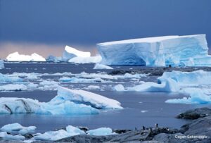 Çağan Şekercioğlu Instagram - Happy Earth Day! On our amazing planet, this is the one spot in #Antarctica that made me feel like I was on another planet, with no sign of humanity. Sadly, even this spot and all others on our planet are now affected by #climatechange, #plastics and other global human impacts. 

Dünya Günü’nuz kutlu olsun! Muhtesem dunyamizda, bana baska bir dünyada oldugumu hissettiren en nefes kesici yer Antarktika'da #İşteBurası 
@natgeotvturkiye ile Dünya Günü kutlamalarına #İşteBurası ve #ShareYourSpot etiketleriyle katılın ve daha fazlasını öğrenmek için natgeotv.tr/planetpossible‘a tıklayın!

#ShareYourSpot