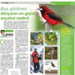 Çağan Şekercioğlu Instagram – To read the rest of this interview on my travels in 90 countries for my #ornithology
research, filming and photographing birds, click on the link in my Instagram profile (and use Google translate if you dont know Turkish!)

https://www.hurriyet.com.tr/seyahat/yazarlar/yucel-sonmez/kus-gozlemi-dunyanin-en-guzel-seyahat-nedeni-41749902

Ornitoloji araştırmalarım ve 90 ülkede kuşların peşindeki seyahatlerimle ilgili bu röportajın tamamı Instagram profilimdeki bağlantıda. 

@cagansekercioglu @uofu_science @kocuniversity @natgeocreative @natgeo @natgeotvturkiye @natgeomagazineturkiye @hurriyet_seyahat #birds #mammals #nature #wildlife #conservation #biodiversity #biology #travel #animals #exploration #birds #birding #birdwatching #birdphotography
#documentaryphotography