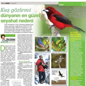 Çağan Şekercioğlu Instagram - To read the rest of this interview on my travels in 90 countries for my #ornithology
research, filming and photographing birds, click on the link in my Instagram profile (and use Google translate if you dont know Turkish!)

https://www.hurriyet.com.tr/seyahat/yazarlar/yucel-sonmez/kus-gozlemi-dunyanin-en-guzel-seyahat-nedeni-41749902

Ornitoloji araştırmalarım ve 90 ülkede kuşların peşindeki seyahatlerimle ilgili bu röportajın tamamı Instagram profilimdeki bağlantıda. 

@cagansekercioglu @uofu_science @kocuniversity @natgeocreative @natgeo @natgeotvturkiye @natgeomagazineturkiye @hurriyet_seyahat #birds #mammals #nature #wildlife #conservation #biodiversity #biology #travel #animals #exploration #birds #birding #birdwatching #birdphotography
#documentaryphotography