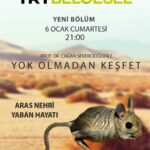 Çağan Şekercioğlu Instagram – Tonight at 9 PM İstanbul time on TRT Belgesel is our documentary on the wildilife of the Aras River valley in #Iğdır, #Türkiye.

Iğdır Aras Nehri vadisinin yaban hayatı bu gece 21:00’de TRT Belgesel’de. 

https://www.trtbelgesel.com.tr/canli-yayin

6 Şubat olacak. Yanlış tarihi uyaranlara teşekkürler. Bana böyle geldi. Farketmemişim.

https://www.trtbelgesel.com.tr/canli-yayin Iğdır-Türkiye