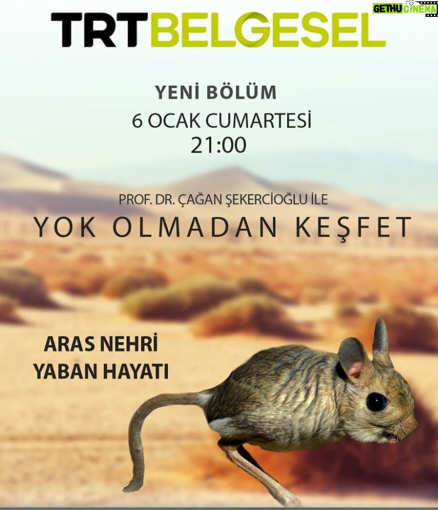 Çağan Şekercioğlu Instagram - Tonight at 9 PM İstanbul time on TRT Belgesel is our documentary on the wildilife of the Aras River valley in #Iğdır, #Türkiye. Iğdır Aras Nehri vadisinin yaban hayatı bu gece 21:00'de TRT Belgesel'de. https://www.trtbelgesel.com.tr/canli-yayin 6 Şubat olacak. Yanlış tarihi uyaranlara teşekkürler. Bana böyle geldi. Farketmemişim. https://www.trtbelgesel.com.tr/canli-yayin Iğdır-Türkiye