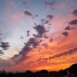 Çağan Şekercioğlu Instagram – Sunset on the #Mediterranean coast of #Karataş, #Adana, Türkiye.

Yılmaz Güney’in memleketi Adana Karataş’ta günbatımı. Akyatan Doğal Hayatı Geliştirme Sahası