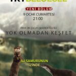 Çağan Şekercioğlu Instagram – Birazdan 21:00’de @trtbelgesel’de nefes kesen Tunceli Peri Suyu kanyonunda su samurunun peşindeyiz.

Tonight at 9PM Istanbul time on the Turkey documentary channel TRT Belgesel, we are looking for otter in the Peri Canyon of Tunceli, eastern Turkey.

@cagansekercioglu @uofu_science @natgeo @natgeoimagecollection
 @natgeomagazineturkiye @natgeotvturkiye@e2medyapim #birds #nature #wildlife #natgeoimagecollection #conservation #biodiversity #biology #travel #animals #Adıyaman #Şanlıurfa #Türkiye #Turkey #Anatolia #mammals #birds