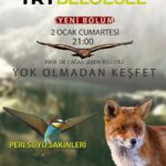 Çağan Şekercioğlu Instagram – Good news for those who loved the landscapes and wildlife of Tunceli where we filmed our chamois and wild goat documentaries. Tonight at 9PM Istanbul time on the Turkey documentary channel TRT Belgesel, we have a new episode on the wildlife of the Peri Canyon in eastern Turkey.

Tunceli’nin muhteşem doğasına doyamayan seyircilerimize güzel bir haberimiz var. Bu gece 21’de @trtbelgesel’de nefes kesen Peri Suyu kanyonunun yaban hayatının peşindeyiz. 21-23 arası @TRTHaber’de de  yaban hayatı, çevre sorunları, doğa koruma ve insan sağlığı ilişkisini konuşacağız.

@cagansekercioglu @uofu_science @natgeo @natgeoimagecollection
 @natgeomagazineturkiye @natgeotvturkiye@e2medyapim #birds #nature #wildlife #natgeoimagecollection #conservation #biodiversity #biology #travel #animals #Adıyaman #Şanlıurfa #Türkiye #Turkey #Anatolia #mammals #birds