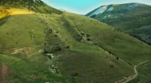Çağan Şekercioğlu Instagram - Emre Akgül'ün yönetmenliğinde @e2medyapim tarafından çekilen Yok Olmadan Keşfet belgesel serimizin yeni sezonunun ilk bölümü "Darevski Engereği" 24 Ekim Pazar gecesi 21:00'de @trtbelgesel de. Buradan canli izleyebilirsiniz: 

https://www.trtizle.com/canli/tv/trt-belgesel

You can watch the first episode of the new season of our Turkey #wildlife #documentary, expertly filmed by @e2medyapim and directed by Emre Akgül, at 9PM tomorrow (October 24) at the link above. New episodes are every Sunday at 9PM Istanbul time.

#natgeointhefield #conservation #biodiversity #travel #animals #wildlife #Turkey #Caucasus @cagansekercioglu @uofu_science @natgeo @natgeointhefield @natgeoimagecollection @natgeomagazineturkiye @natgeotvturkiye @universityofutah #snakes #nature #wildlife #biology #IUCN #RedList