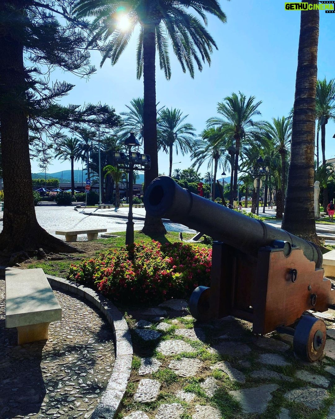 Édgar Vittorino Instagram - Palmaria palmensis || con la mamma🌴🌴 . . #familia #viaje #verano #mallorca #playa #photography Palma De Mallorca, Spain