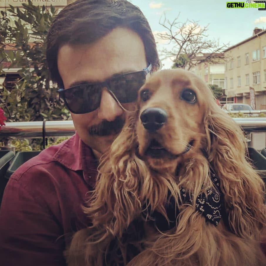 Ömer Gecü Instagram - Dostum Mozart ile... @atarlitekel8 @algiguzelsanatlar #hayvansevgisi #köpek #dostluk Atarlı Tekel Şarküteri ve Meze