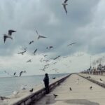 Özgür Ozan Instagram -