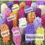 Özkan Uğur Instagram - Ailenizle,sevdiklerinizle,nice sağlıklı huzurlu bayramlar dilerim