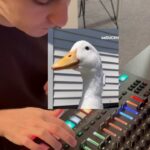 Özkan Uğur Instagram - Canım oğlumdan ördek techno @shanali.1