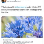 Özz Nûjen Instagram - Skicka in ditt CV eller ännu viktigare en röntgenbild på att du saknar en ryggrad. Mvh @liberalernas P.S. Repa gärna in våra slogans innan. Homohat är ok 👍🏽 Muslimhat är ok 👍🏽 Judehat är inte ok 👎🏽 (än så länge…) #svpol #säkpol #fascism #apologeter #liberaler #sd #dörrmatta #blåbrun #regering