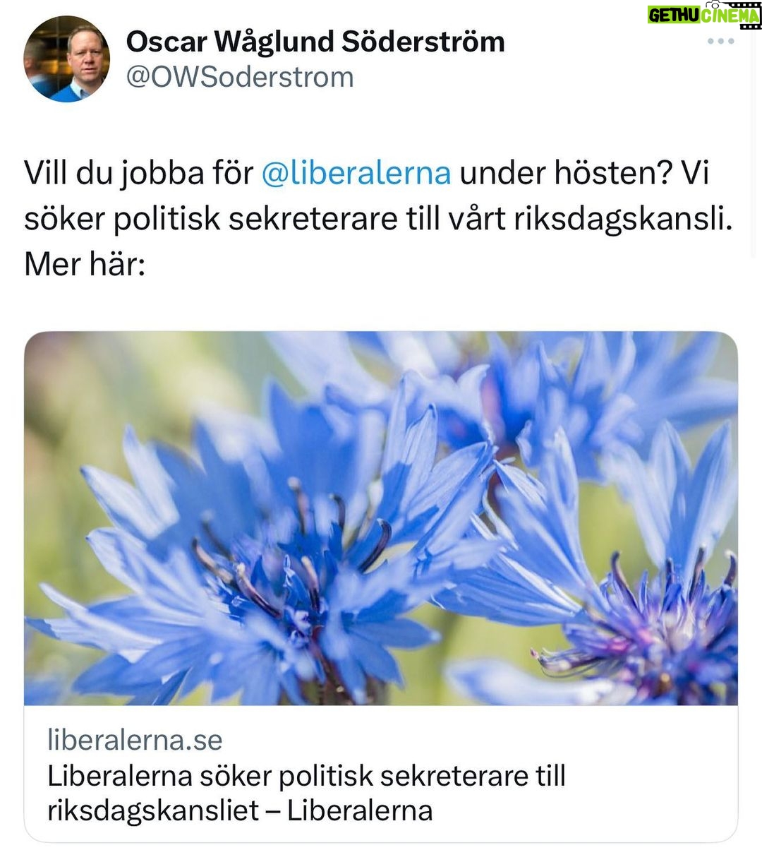 Özz Nûjen Instagram - Skicka in ditt CV eller ännu viktigare en röntgenbild på att du saknar en ryggrad. Mvh @liberalernas P.S. Repa gärna in våra slogans innan. Homohat är ok 👍🏽 Muslimhat är ok 👍🏽 Judehat är inte ok 👎🏽 (än så länge…) #svpol #säkpol #fascism #apologeter #liberaler #sd #dörrmatta #blåbrun #regering