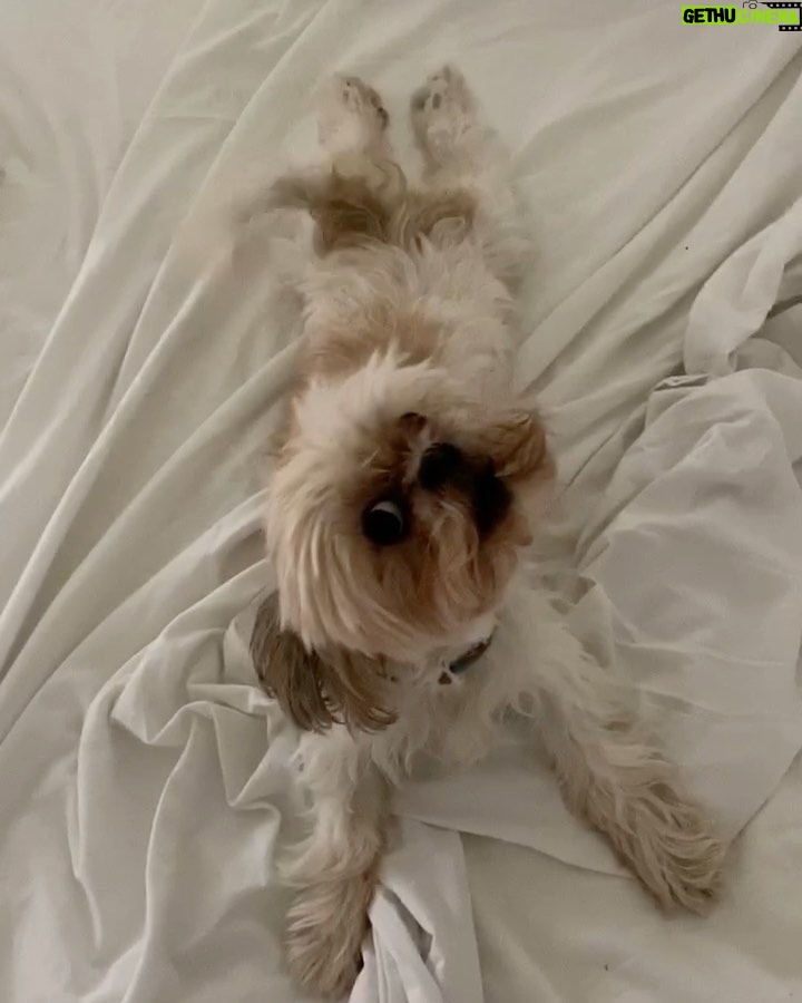 Úrsula Corberó Instagram - Post de amor para Lolita. Mi ewok 💘