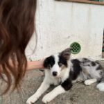 Úrsula Corberó Instagram – Toy saladita 🪸