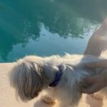 Úrsula Corberó Instagram - Post de amor para Lolita. Mi ewok 💘