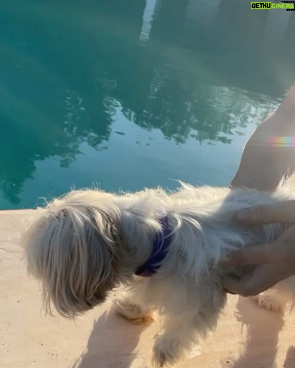 脷rsula Corber贸 Instagram - Post de amor para Lolita. Mi ewok 馃挊