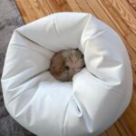 Úrsula Corberó Instagram - Post de amor para Lolita. Mi ewok 💘
