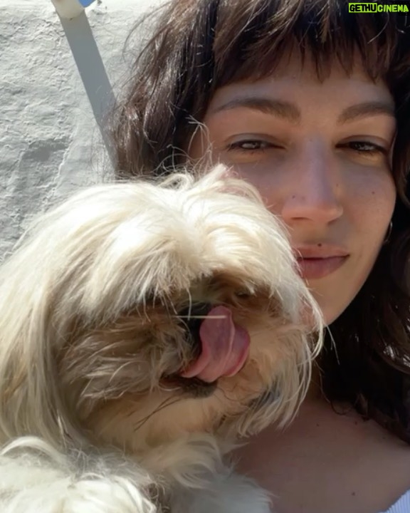 脷rsula Corber贸 Instagram - Post de amor para Lolita. Mi ewok 馃挊