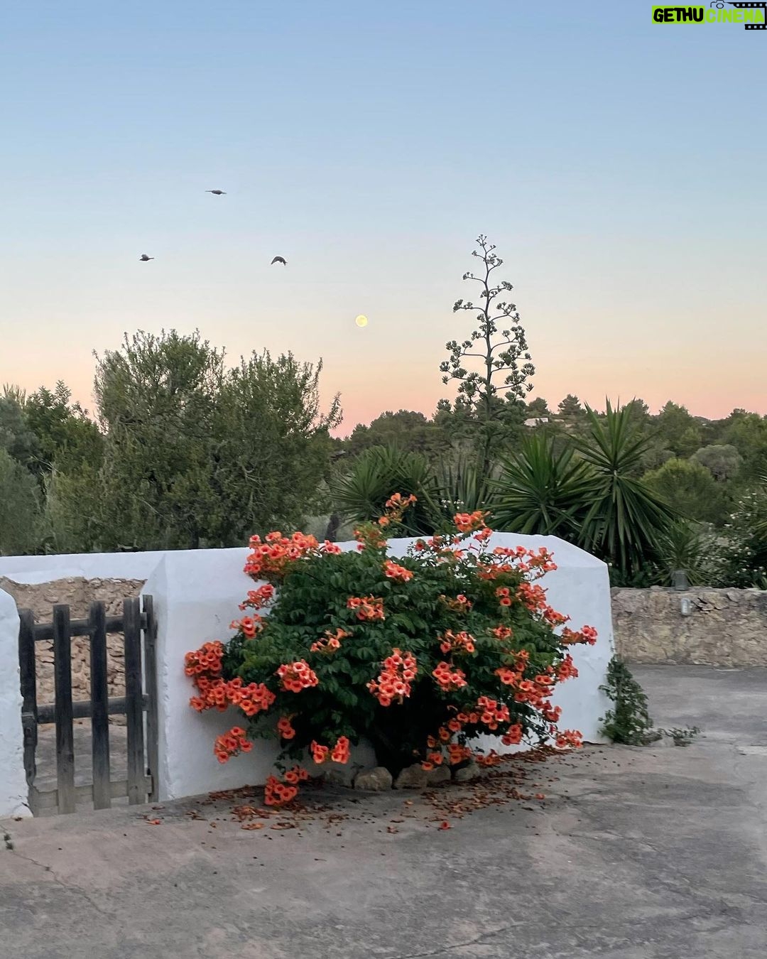Úrsula Corberó Instagram - Eivissa titimu ❤️🔥 Ibiza, Spain