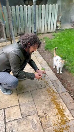İlker Aksum Instagram - Ünlülerle bayramlaşma. İyi bayramlaaaaaar.
#cat #catlovers #animals #pati #paw