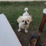İlker Aksum Instagram - Gonca vuslateri