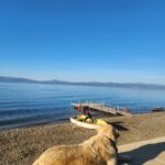 İrem Kahyaoğlu Instagram - Boşa kürek🌊 İznik Gölü