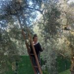 İrem Kahyaoğlu Instagram - Göle kaçalım mi? #iznik #gölevi #kar#Kış#boran#donmak İznik Gölü