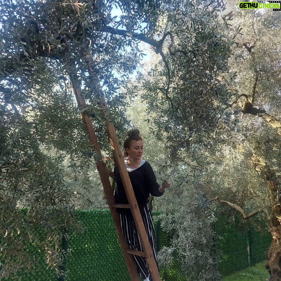 İrem Kahyaoğlu Instagram - Göle kaçalım mi? #iznik #gölevi #kar#Kış#boran#donmak İznik Gölü