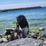 İrem Kahyaoğlu Instagram – Canım gölgem 
#nofilter #yosunkokusu#leşyazgeliyor