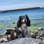 İrem Kahyaoğlu Instagram – Canım gölgem 
#nofilter #yosunkokusu#leşyazgeliyor