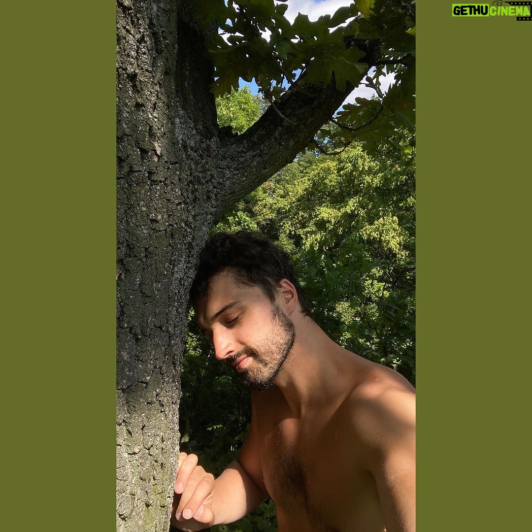 Šimon Bilina Instagram - Stromy, Bolest, Brouci @tomas_klus to už skvěle otevřel a já bych taky rád sdílel moje spojení s těmahle kůrovitejma kamarádama. Pane pané, ani bych se nebál říct, bytostma, hehe. Vždyť i náš ex-préza Milouš je chodil objímat. Třeba to dělá ještě furt… nedivil bych se mu. Bolest. Nedá se před ní utéct. Ať už seš Takovec nebo Makovec, najde si tě. Někdy velkým obloukem, někdy bezprostředně, ale neutečeš jí. Jsou i tací ministři vyhýbání, kterejm se to daří léta letoucí, atleti Přehlížečka, Utěkač, Silák, DejMiPříjímáček, Drsňáček, Hlasiťák, KoholíkAlToVšechnoSpraví, DrogyTyVogy nebo třeba Školitel… až jim jednoho krásnýho dne třeba bolest zaklepe na rameno ve formě nemoci. Uf. S bolestí, zranitelností, se mě nejlíp potkává u stromů. Cejtim, že jsou tu semnou, že se můžu opřít, ale to, co mám zvládnout sám, za mě nikdo jinej neudělá. Sedět a pustit to. Uvědomovat si svoje uvědomovaní.. Nechat, ať mě to prostoupí, nevzdat to, ale především si dovolit pochopit , proč se to děje… 🐛 Vždycky po mě běhaj brouci, mouchy.. je fakt umění, je nechat kousat, štípat a neodpinknout je😃🙏.. ale když sakra medituješ, tak medituješ a bude ti prostě jedno, jestli ti něco nebo NĚKDO ne-ukousne prst!😌🪶 Miluju po nich lézt a třeba si i na nějaký silný větvi hodit šlofana. Stromy cítí okolní stromy, na který jsou napojený, a když strádaj, pošlou jim po jejich kořen. internetu živiny. Podobně to platí, když jejich bratr, sestra, se ocitnou v nebezpečí.. Začnou vytvářet obranný látky nebo jaksi přivolaj přirozený nepřítele toho danýho škůdce, co jim loupe perníček. Zároveň si daj přesně tolik prostoru, kolik potřebujou pro svůj růst. Jsem za Jedno se stromy, a děkuju jim, za tu nekonečnou přítomnost, za rady a pomoc, který se mi od nich dostává. Tohle ale musíte/můžete vyzkoušet na vlastní duši, vždyť co já vim? 🪶 #kezjsouvsechnybytostistastny #stromy #hauxhaux #bezfiltru #pic #forest #forestphotography #picoftheday #natural #pičoOfTheDej Doma