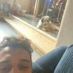 Šimon Bilina Instagram - Pokora. Vděčnost. Důvěra. Poslední dny mi dali tuhle lekci a tuhle cestu. Bude to dlouhá cesta, než tyhle slova a to co reprezentujou plně obsáhnu, ale za to nádherná a nejdu po ní sám. Jít srdcem a se smyslem:-) Řiká se, že jako lidi na mnoha úrovních fungujeme v 7 letejch cyklech. Respektive za cca 7 let, protože naše buňky odumíraj a roději se pořád dokola a dokola, se nám to celý jednou promíchá.. 7,14,21… no a mě za 21 dní bude 28 let.. zhruba v těchto fázích života to spoustu lidí zabalilo a skončilo (viz google) včetně jednoho mýho kamaráda🙏🕊️.. No a mě teď silněji než kdykoliv předtím dochází za kolik lidí, přátel, věcí, zážitků jsem vděčnej. Vděčnost btw. je ta nejlepší medicína na strach. A jak je tahle lidská zkušenost nádherná! Doporučujeme, a posíláme písničku!💀 A taky zjišťuju, kolikrát sem se pletl, mýlil, udělal chybu.. a třeba to ani nepřiznal. Uf Uf.. Pokora. Pokora je boží.. mnohem mnohem vzácnější než toxická maskulinní bagr síla.. kdy je chlap ten na trůně a ten co ví všechno a sežral všechna Šalamounova ho*na od počátku věků. Je to tak hloupě snadný. Pokora je tišší a subtilnější. Nemá rohy. Pokora jako vědomí celku. Je vnímavá a klidná. A o to silnější. Všem důvěru v to, co právě prožíváte. Důvěru v to, že se to uskuteční tak, jak má. Jít tomu naproti a nebo s tim. A zakončím to oblíbeným citátem mého oblíbeného šamana: ”Chovejte se k Sobě tak, jakoby ste se měli rádi.” Tak na humornou přítomnou budoucnost!🪶🙏😝 F: @katesramkova 🍀 Všudemožně