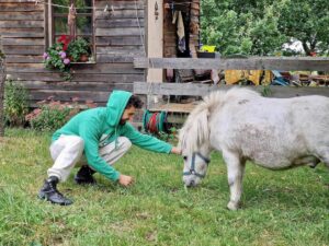Šimon Bilina Instagram - HOW TO přemluvit koňský trpaslíky na jednu společnou. Neni zač. 
😌❤️

#mitakuyeoyasin #narnie #ponies #kentaur #tutorial