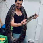 Šimon Bilina Instagram - Dlouhý a silný svátek Samhain Všem 🙈😄⭐️🐍 #primazoo #primaserial #zooserial @prima_zoo @2mediacz #nature Safari Park Dvůr Králové