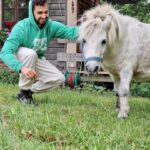 Šimon Bilina Instagram - HOW TO přemluvit koňský trpaslíky na jednu společnou. Neni zač. 😌❤️ #mitakuyeoyasin #narnie #ponies #kentaur #tutorial Narnie