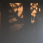 Šimon Bilina Instagram - Přeju dnes a provždy všímavost a soucit s vlastníma myšlenkama a pocitama..tady a teď.. ať už se v nás.. v našem těle.. v naší mysli.. odehrává cokoliv…🐜🐌🦭 Tohle nekonečný randění a konfrontace s vlastníma pocitama je ale čoveče na celej život…ale myslím si, že právě tady to začíná…náš dobrej pocit ze života🦥, když zaujmem soucitnej postoj k naším strachům, co v Nás vyvstávaj (a dáme jim prostor).. tak je tim zároveň transformujeme🤍🫂🐌 Na fotce zachycen člověk, co si dává rande se svou jednou z nejoblíbenějších činností( a myslim toho s kejtrou, jo!?.. o tom sympaťákovi vzadu, co hladí asi židli moc nevim😄 👁️🦋😌) A závěrka.. jeden citát od S. Zweiga pro upřesnění. "Existuje dvojí soucit. Jeden, ten zbabělý a sentimentální, který je vlastně jen netrpělivostí srdce, aby se co nejrychleji zbavilo trapného dojetí cizím neštěstím, soucit, který vůbec není soucítěním, nýbrž jen instinktivním odvrácením cizího utrpení od vlastní duše. A ten druhý soucit, který jediný má smysl – ten nesentimentální, avšak tvořivý soucit, který ví, co chce, a je odhodlán trpělivě a s účastenstvím vydržet až do konce svých sil a ještě za něj." #music #primazoo #homosapiens #soucit #tadyated #czechrepublic #zpev #hudba #simonbylina #❤️ #selfcompassion #dalailama #gururinpoche Česká republika