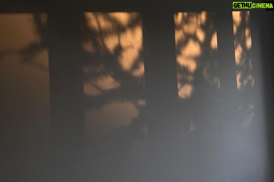 Šimon Bilina Instagram - Přeju dnes a provždy všímavost a soucit s vlastníma myšlenkama a pocitama..tady a teď.. ať už se v nás.. v našem těle.. v naší mysli.. odehrává cokoliv…🐜🐌🦭 Tohle nekonečný randění a konfrontace s vlastníma pocitama je ale čoveče na celej život…ale myslím si, že právě tady to začíná…náš dobrej pocit ze života🦥, když zaujmem soucitnej postoj k naším strachům, co v Nás vyvstávaj (a dáme jim prostor).. tak je tim zároveň transformujeme🤍🫂🐌 Na fotce zachycen člověk, co si dává rande se svou jednou z nejoblíbenějších činností( a myslim toho s kejtrou, jo!?.. o tom sympaťákovi vzadu, co hladí asi židli moc nevim😄 👁️🦋😌) A závěrka.. jeden citát od S. Zweiga pro upřesnění. "Existuje dvojí soucit. Jeden, ten zbabělý a sentimentální, který je vlastně jen netrpělivostí srdce, aby se co nejrychleji zbavilo trapného dojetí cizím neštěstím, soucit, který vůbec není soucítěním, nýbrž jen instinktivním odvrácením cizího utrpení od vlastní duše. A ten druhý soucit, který jediný má smysl – ten nesentimentální, avšak tvořivý soucit, který ví, co chce, a je odhodlán trpělivě a s účastenstvím vydržet až do konce svých sil a ještě za něj." #music #primazoo #homosapiens #soucit #tadyated #czechrepublic #zpev #hudba #simonbylina #❤️ #selfcompassion #dalailama #gururinpoche Česká republika