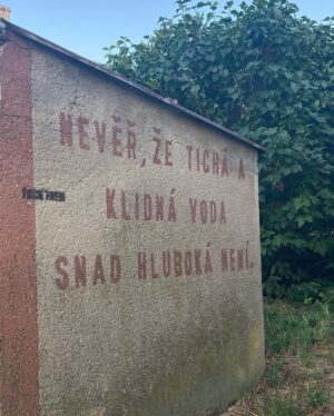 Šimon Bilina Instagram - Poslední dny ve znamení Pohodystánu, komunikaci se zvířectvem a času s knihou od @michal_v_bartos a @michaelabartosova1 … ZROZENI K PROPOJENÍ. Všem vřele doporučuju. 

Přeju Všem hojnost vy Umpalumpíci🤭❤️🙏