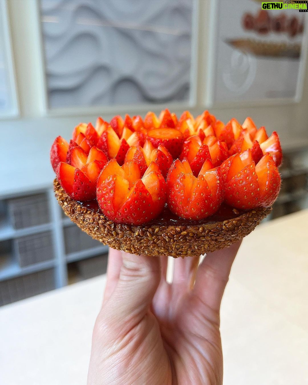 Cédric Grolet Instagram - Deux boutiques, deux identités ! Opéra = tartes céréales / le Meurice = tartes à la farine de seigle pour nos fruits de l’été! Faites vos choix! #cedricgrolet 🌞