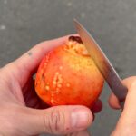 Cédric Grolet Instagram - On vous a rendu la vie plus facile avec ce fruit! Qui connaît ? ☀️