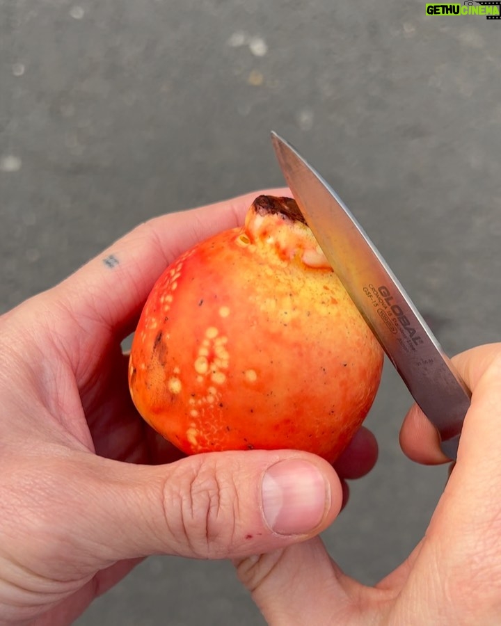 Cédric Grolet Instagram - On vous a rendu la vie plus facile avec ce fruit! Qui connaît ? ☀️