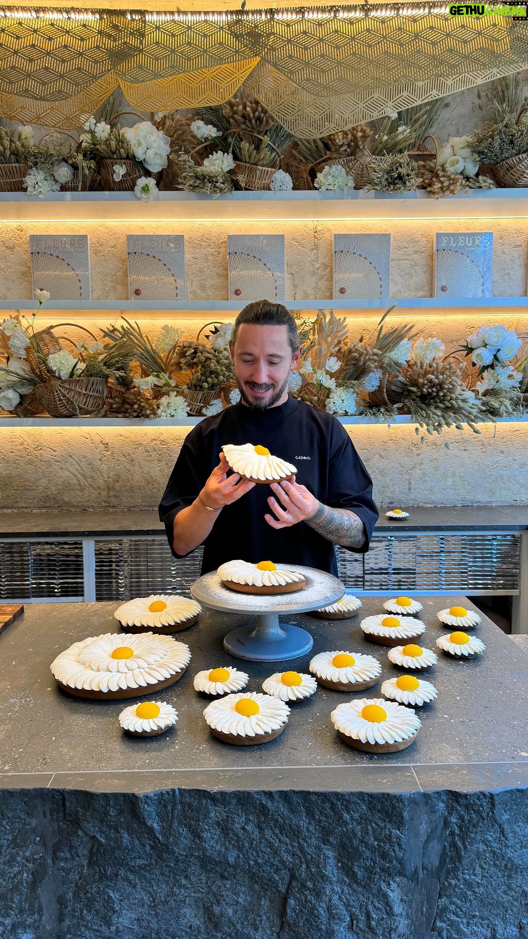 Cédric Grolet Instagram - La traditionnelle tarte 🍋 avec de la meringue! #cedricgrolet Cédric Grolet Opéra