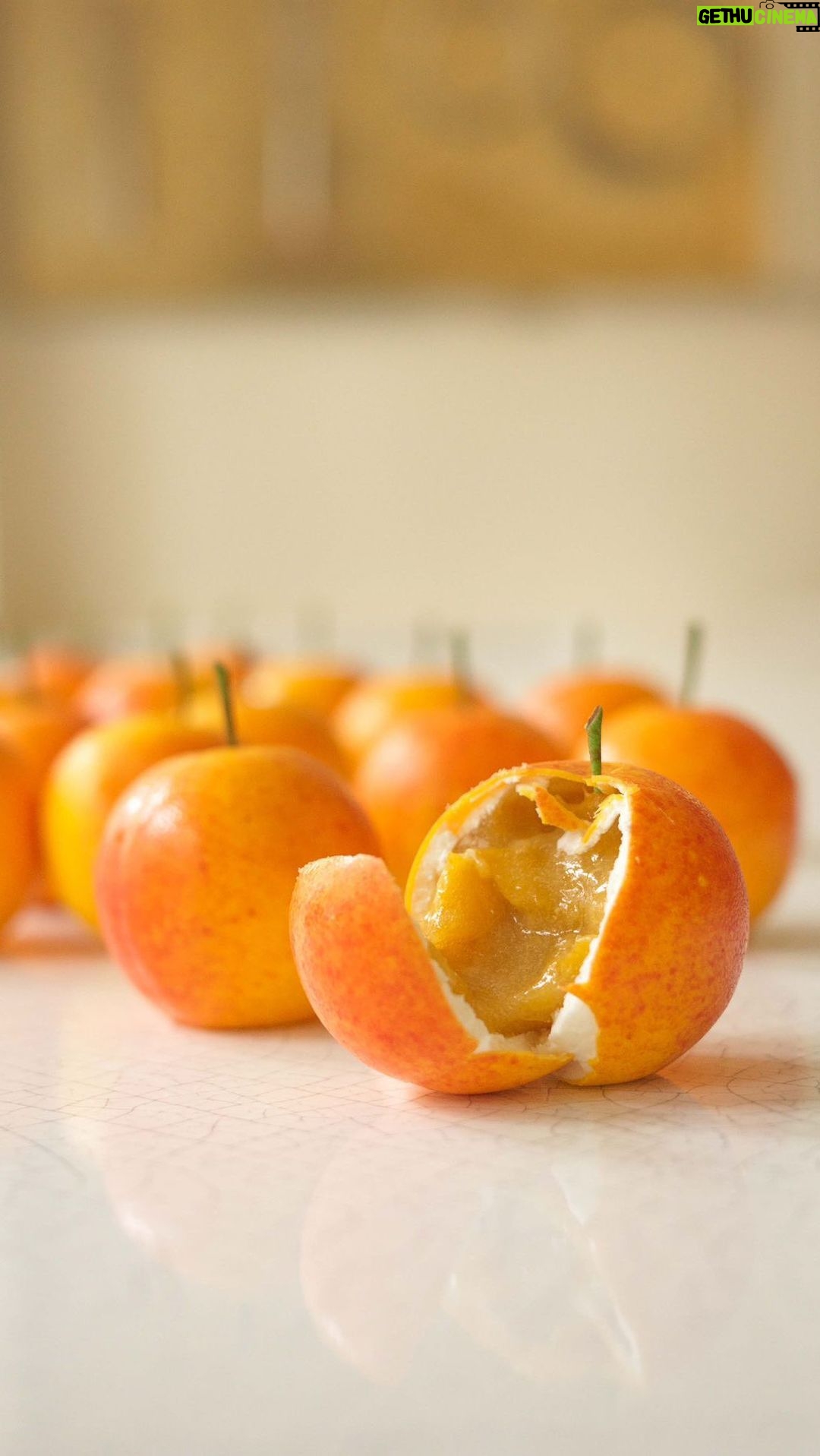 Cédric Grolet Instagram - Pour la première fois les mirabelles en trompe l’œil ! 🌕 #cedricgrolet La Pâtisserie du Meurice par Cédric Grolet
